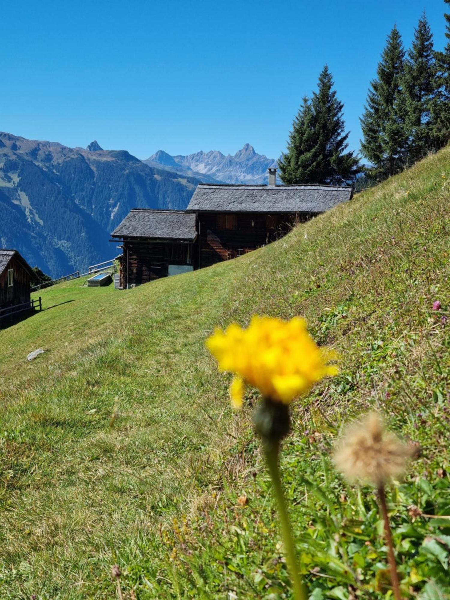 Chalet 14 Sankt Gallenkirch Exterior photo
